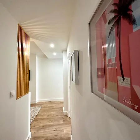 Apartment Magnifique T3 Equipe Et Climatise Centre Ideal 4 Personnes Ajaccio (Corsica)